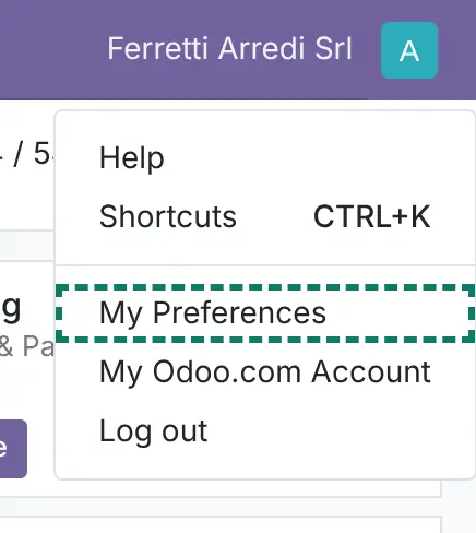 Odoo 19 user menu with My Preferences